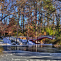 Crim Dell in Winter William and Mary